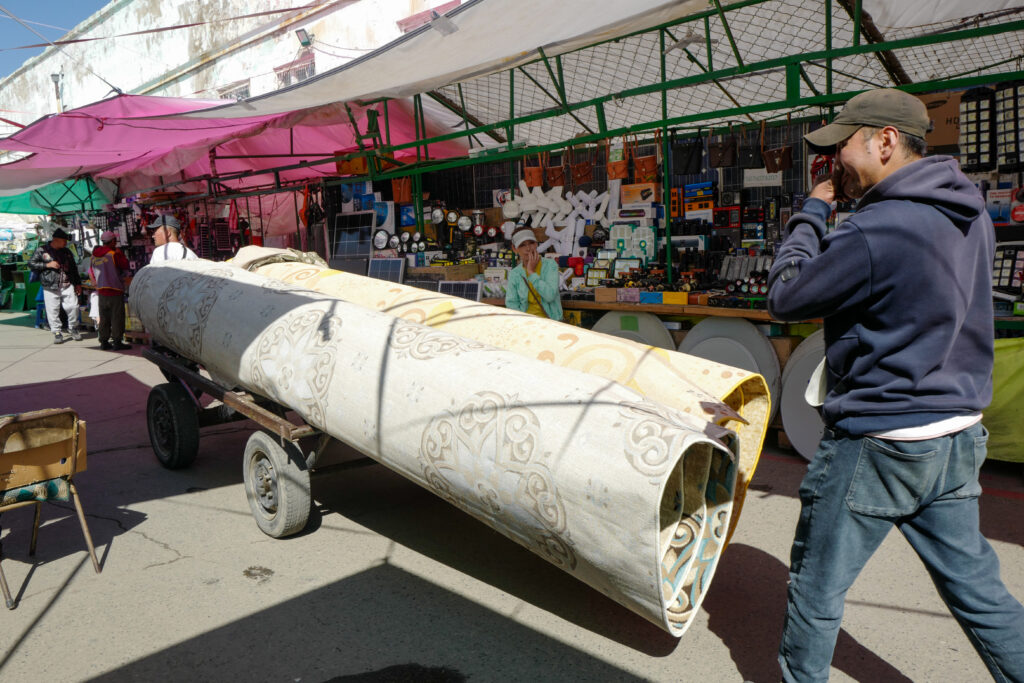 モンゴル7泊8日旅 ウランバートル散策 ナラントール市場