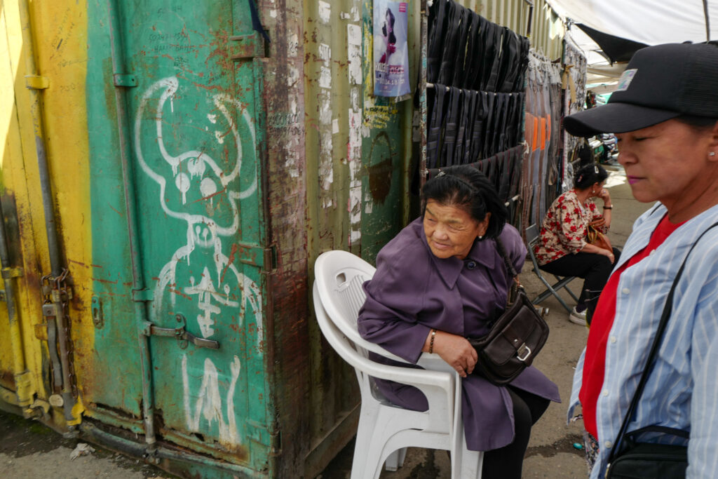 モンゴル7泊8日旅 ウランバートル散策 ナラントール市場