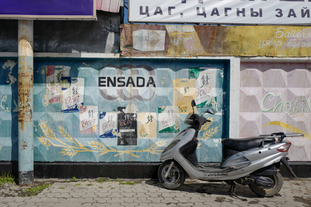 モンゴル7泊8日旅 ウランバートル散策 ナラントール市場