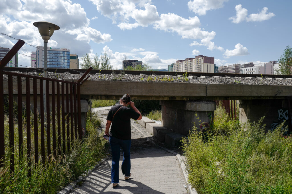 モンゴル7泊8日旅 ウランバートル散策 ナラントール市場