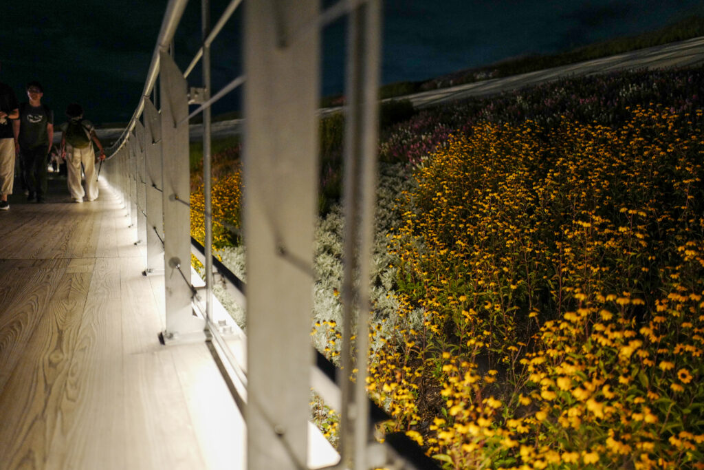 大阪・関西万博2025 ナイトチケット 大屋根リング散策