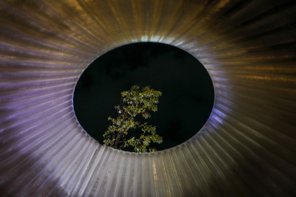 大阪・関西万博2025 ナイトチケット 西ゲート