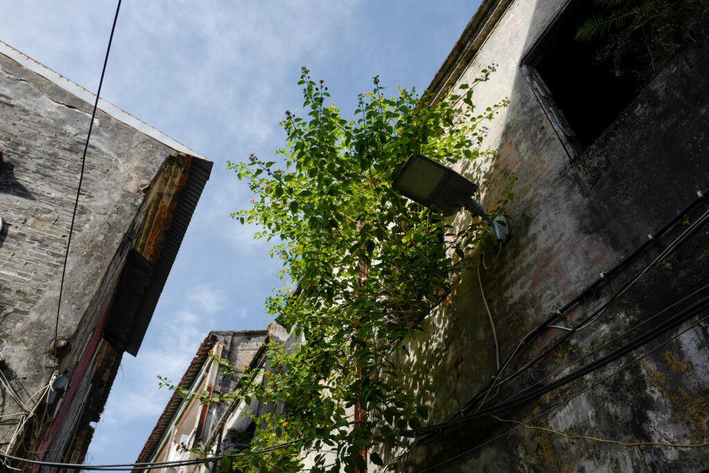 マカオ　福隆新街