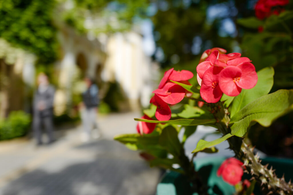 マカオ　聖ローレンス教会